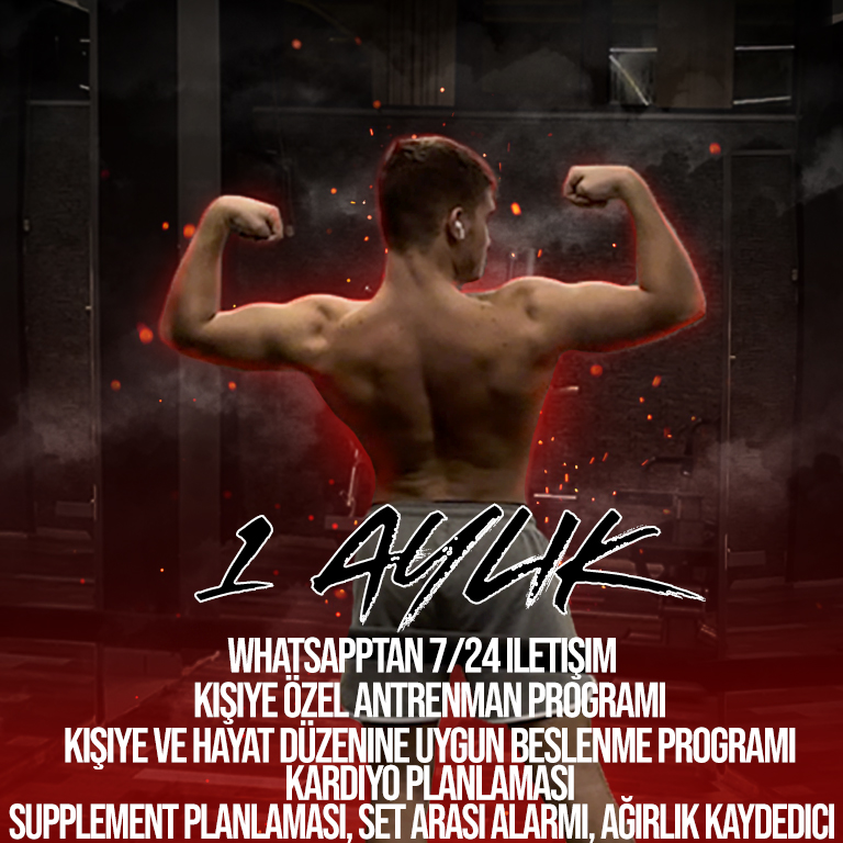 1 Aylık Çalışma Programı