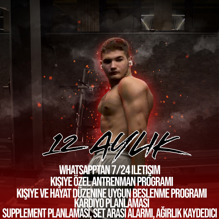 12 Aylık Çalışma Programı