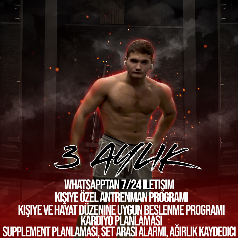 3 Aylık Çalışma Programı