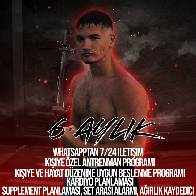 6 Aylık Çalışma Programı